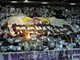 Viktoria Plzeň - NK Maribor (fotoreport)