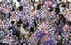 Policie zasahoval proti fans Fiorentiny
